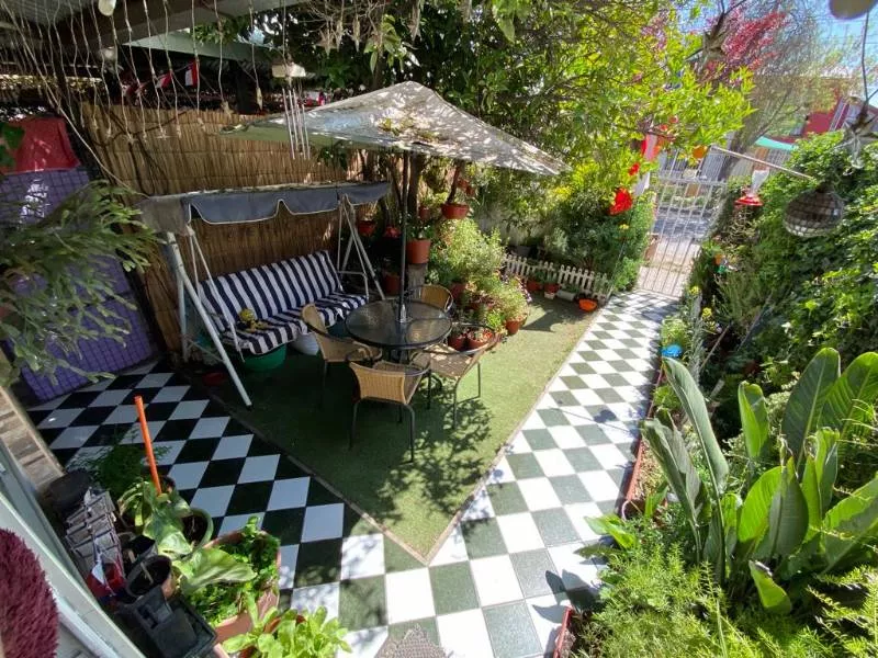 D_NQ_NP_2X_975913-MLC54768543600_032023-F