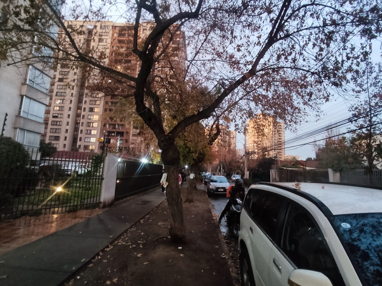 WhatsApp Image 2023-05-23 at 8.53.21 PM (1)