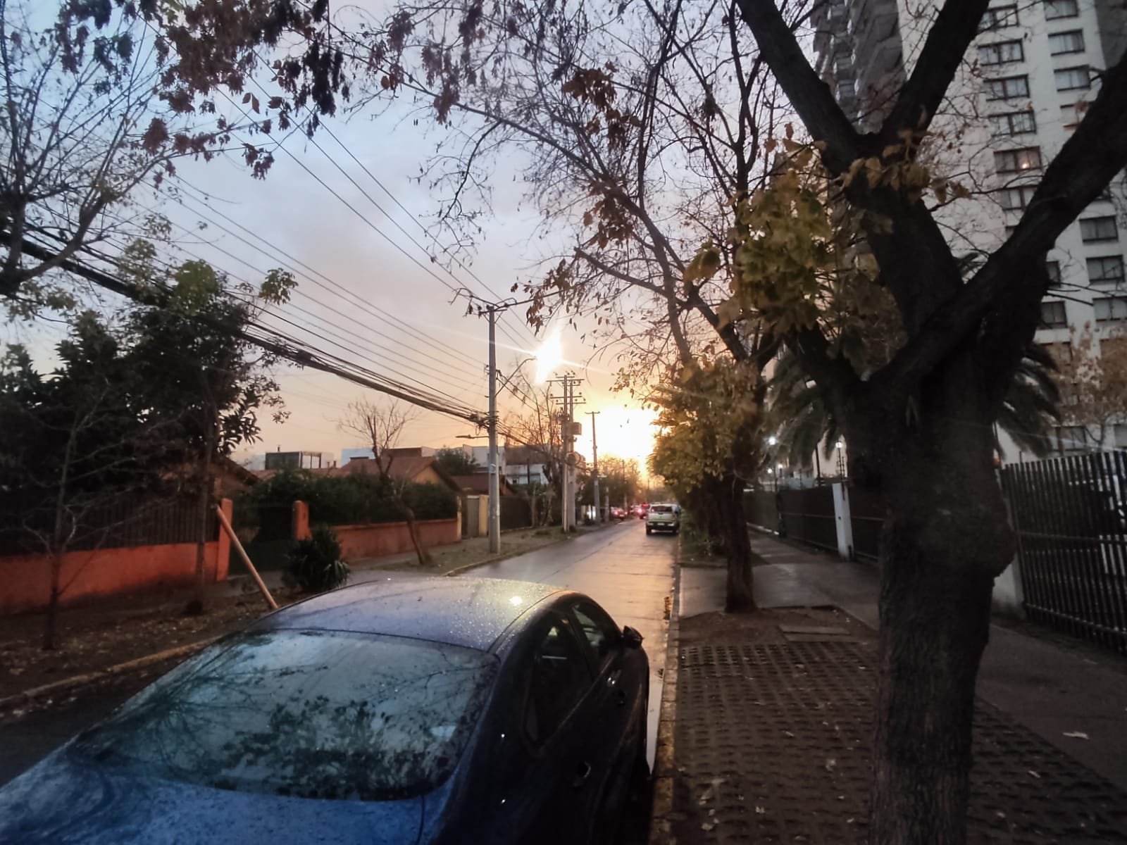 WhatsApp Image 2023-05-23 at 8.53.21 PM