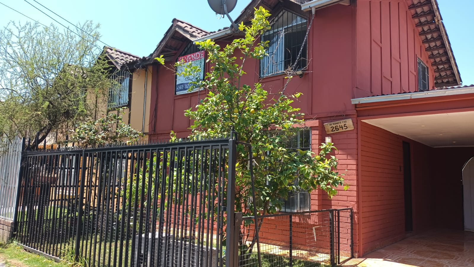 WhatsApp Image 2023-11-29 at 22.41.34 (1)