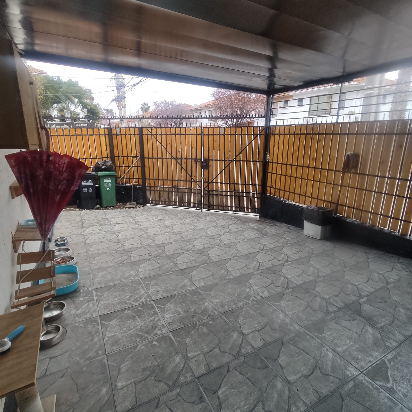 WhatsApp Image 2023-11-29 at 22.49.01