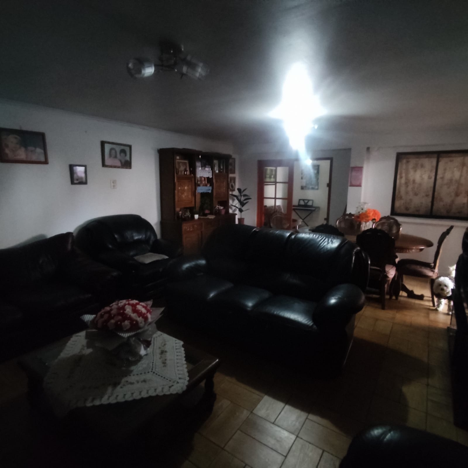 WhatsApp Image 2023-11-29 at 22.49.03 (2)