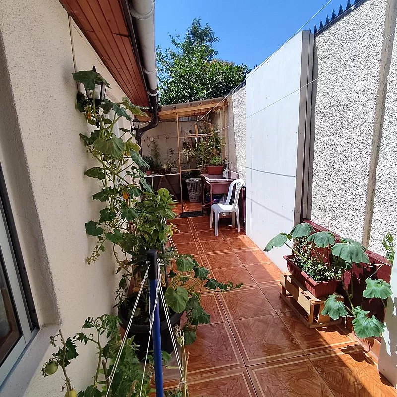 D_NQ_NP_2X_898141-MLC73851796599_012024-F