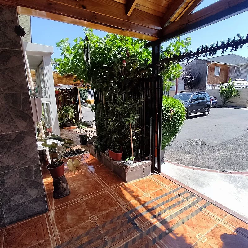 D_NQ_NP_2X_939564-MLC73851796575_012024-F